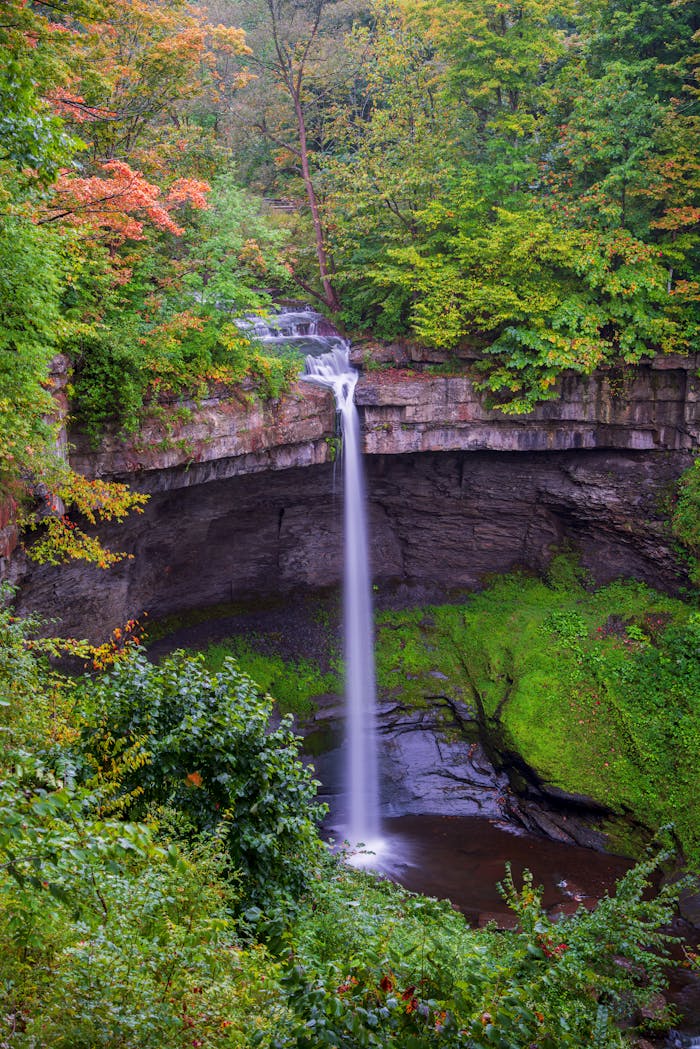 who-we-are Pexels Photo 28273488